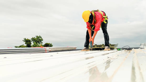 Best Gutter Installation and Repair  in Beach Haven, NJ